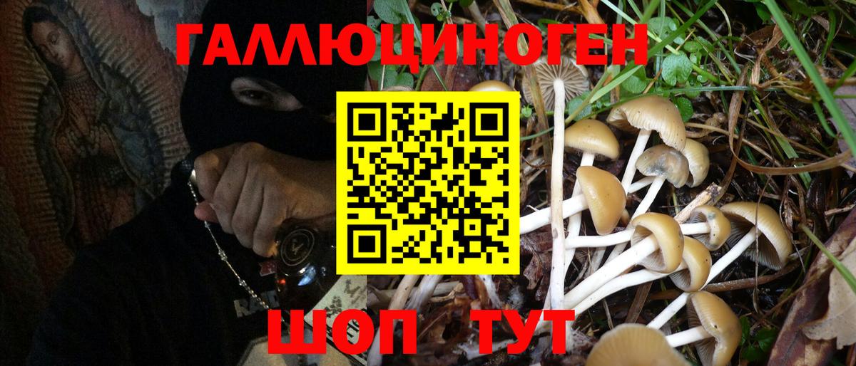 Галлюциногенные грибы Psilocybe Серпухов